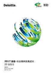 科技行业：2017年光谷高科技高成长20强报告