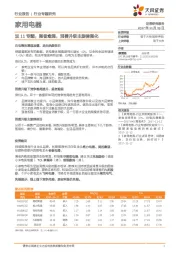 家用电器双11专题：强者愈强，消费升级主旋律强化