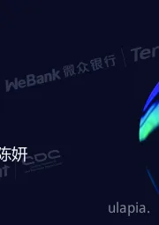 银行行业大调研的方法与发现：“观”之有道