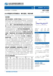 2018新能源汽车策略报告：雄关漫道，强者恒强