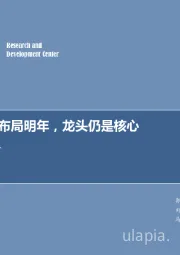 新能源行业周报：调整后可布局明年，龙头仍是核心