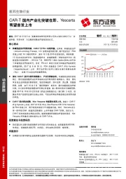 医药生物行业：CAR-T国内产业化突破在即，Yescarta有望首发上市