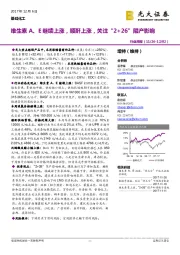 基础化工行业周报：维生素 A、E继续上涨，顺酐上涨，关注“2+26”限产影响