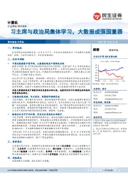 计算机：习主席与政治局集体学习，大数据成强国重器