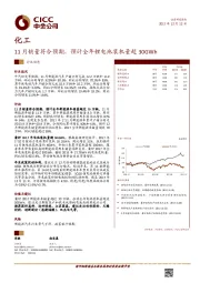 化工行业动态：11月销量符合预期，预计全年锂电池装机量超30GWh