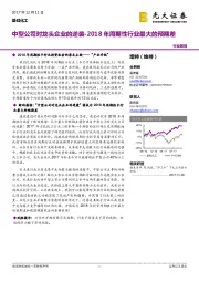 基础化工行业简报：2018年周期性行业最大的预期差-中型公司对龙头企业的逆袭