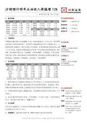 石化行业日报：沙特预计明年石油收入将猛增12%