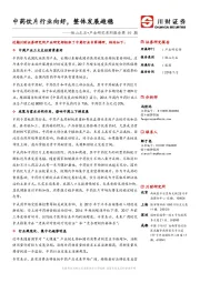 他山之石·产业研究系列报告第69期：中药饮片行业向好，整体发展趋稳