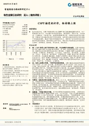 有色金属行业研究：CSPT接受标杆价，钴持续上涨