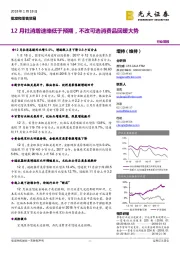 批发和零售贸易行业简报：12月社消增速略低于预期，不改可选消费品回暖大势