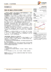 石油化工行业研究周报：民营大炼化重点公司项目近况跟踪