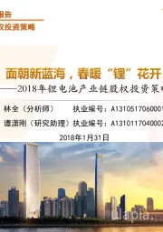 2018年锂电池产业链股权投资策略：面朝新蓝海，春暖锂花开