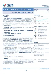 广发化工研究周报（2月第1期）：化 工品价格稳中有跌，价差涨跌相当