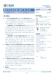燃气Ⅱ行业月报-2017年12月：12月消费量同比下降6.1%，月末LNG全国市场价达7249元/吨