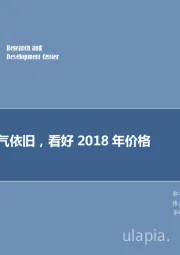 化工行业：钛白粉景气依旧，看好2018年价格