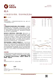 化工行业动态：1月销量符合预期，等待补贴政策落地