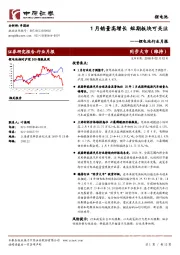 锂电池行业月报：1月销量高增长 短期板块可关注