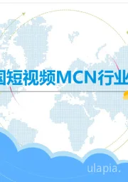 2017年中国短视频MCN行业发展白皮书