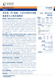 基础化工行业周报：有机硅、PO看涨，山东印发新旧动能转换重大工程实施规划