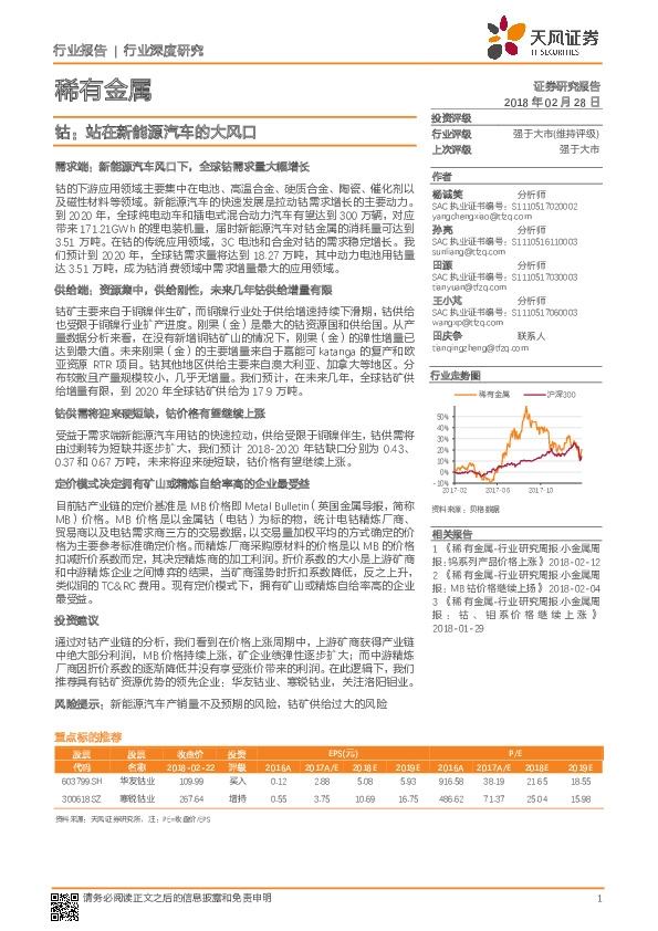 稀有金属行业深度研究：钴：站在新能源汽车的大风口