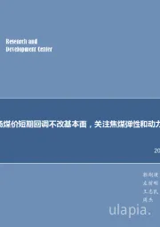 煤炭行业周报：每周观点：市场煤价短期回调不改基本面，关注焦煤弹性和动力煤企稳