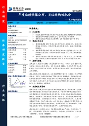 电子行业周报：年度业绩快报公布，关注结构性机会