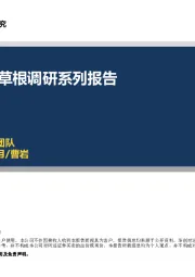 电商渠道草根调研系列报告