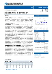 化工：继续调整能源结构，燃料乙醇前景看好