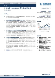 电子：中大容量NOR Flash景气度有望持续