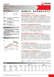商业养老保险深度研究：乘政策东风，商业养老险大有可为