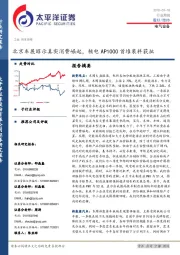 电气设备行业周报：北京车展昭示真实消费崛起，核电AP1000首堆装料获批