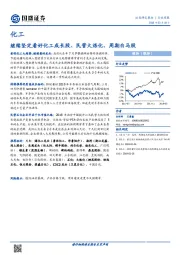 化工行业周报：继续坚定看好化工成长股、民营大炼化、周期白马股