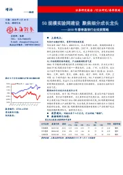 2018年春季通信行业投资策略：5G规模实验网建设 聚焦细分成长龙头