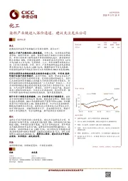 化工调研纪要：染料产业链进入涨价通道，建议关注龙头公司