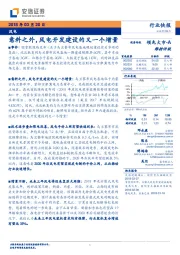 风电：意料之外，风电开发建设的又一个增量