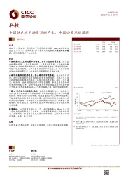 科技行业调研：中国特色应用场景不断产生，中国公司不断涌现