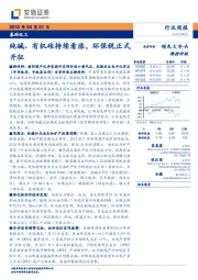 基础化工行业周报：纯碱、有机硅持续看涨，环保税正式开征