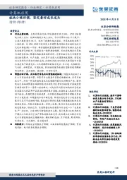 计算机行业周报：板块小幅回调，坚定看好成长龙头