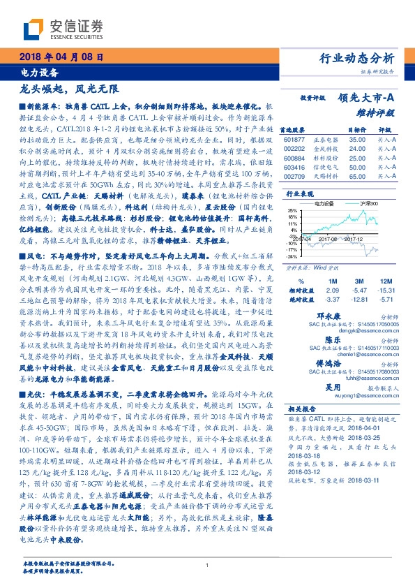 电力设备行业动态分析：龙头崛起，风光无限