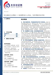 有色钢铁行业周报：短期警惕三大风险，复苏周期仍未结束