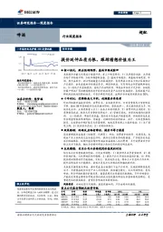 啤酒行业深度报告：提价延伸品质为根，跟踪猜想价值为王