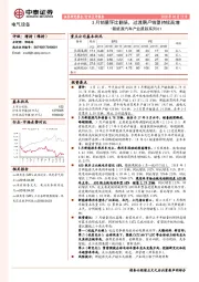 新能源汽车产业跟踪系列01：3月销量环比翻倍，过渡期产销望持续高增