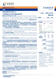 保险灰犀牛系列之六：中国保险公司的价值驱动研究