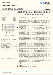 新零售系列报告之二：腾讯领投30亿美金，拼多多或将成为电商第三极
