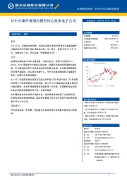 从中兴事件看国内拥有核心技术电子公司