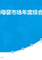 中国互联网母婴市场年度综合分析2018
