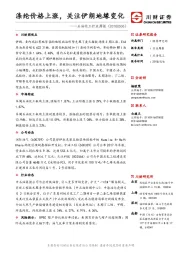 石油化工行业周报：涤纶价格上涨，关注伊朗地缘变化