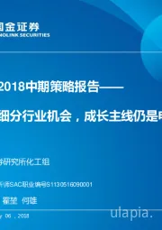 国金化工2018中期策略报告：周期关注细分行业机会，成长主线仍是电子化学品