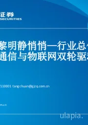 通信行业中期投资策略报告:这里的黎明静悄悄—行业总体蓄势待发,光通信与物联网双轮驱动