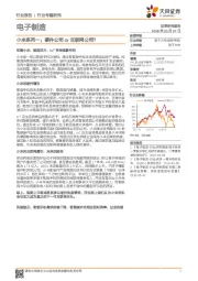 电子制造行业专题研究：小米系列一：硬件公司or互联网公司？